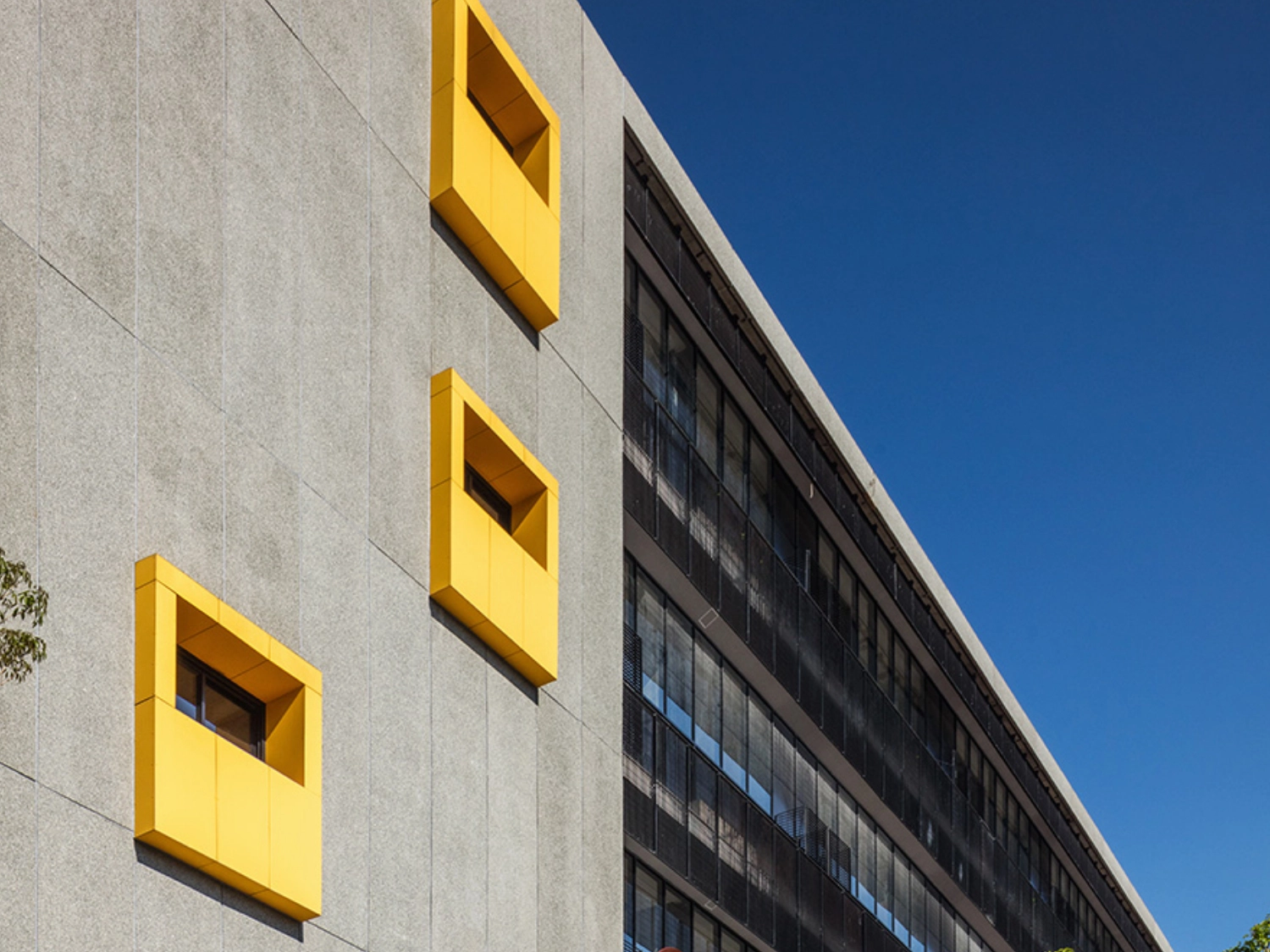 structures of buildings made in hpl panel product