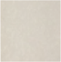 Polished Ivory