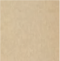 Textured Beige